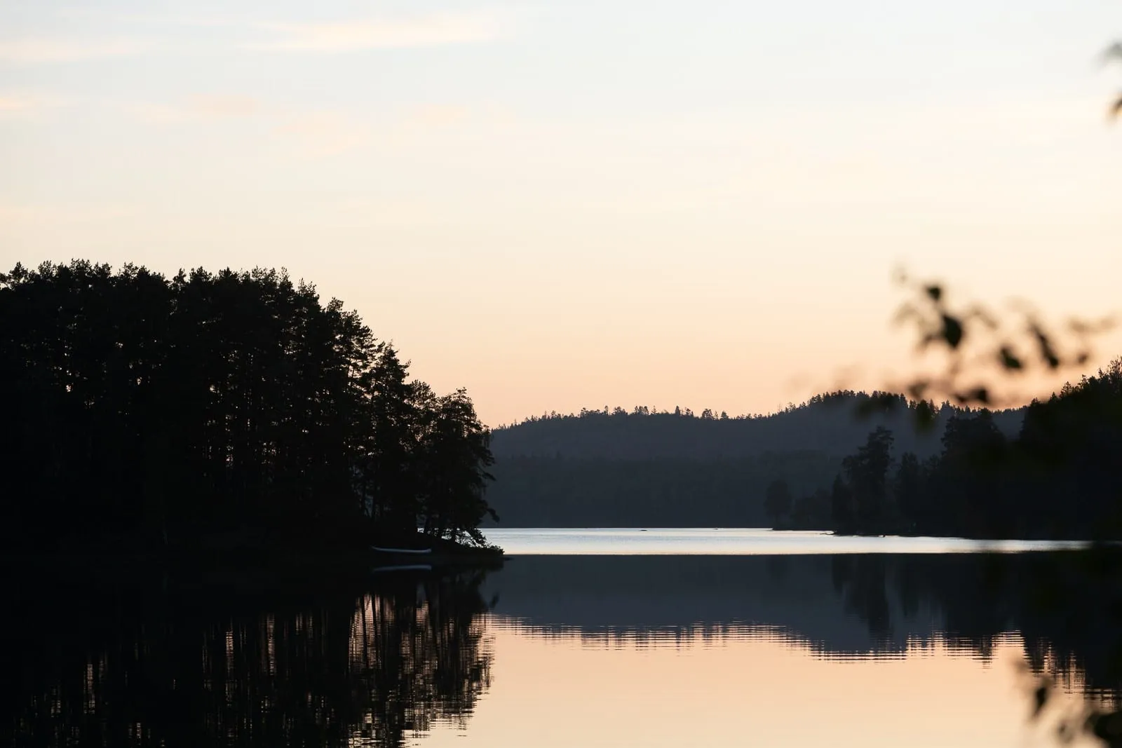 Un pontile di legno su un lago calmo all'alba, con il bosco riflesso nell'acqua
